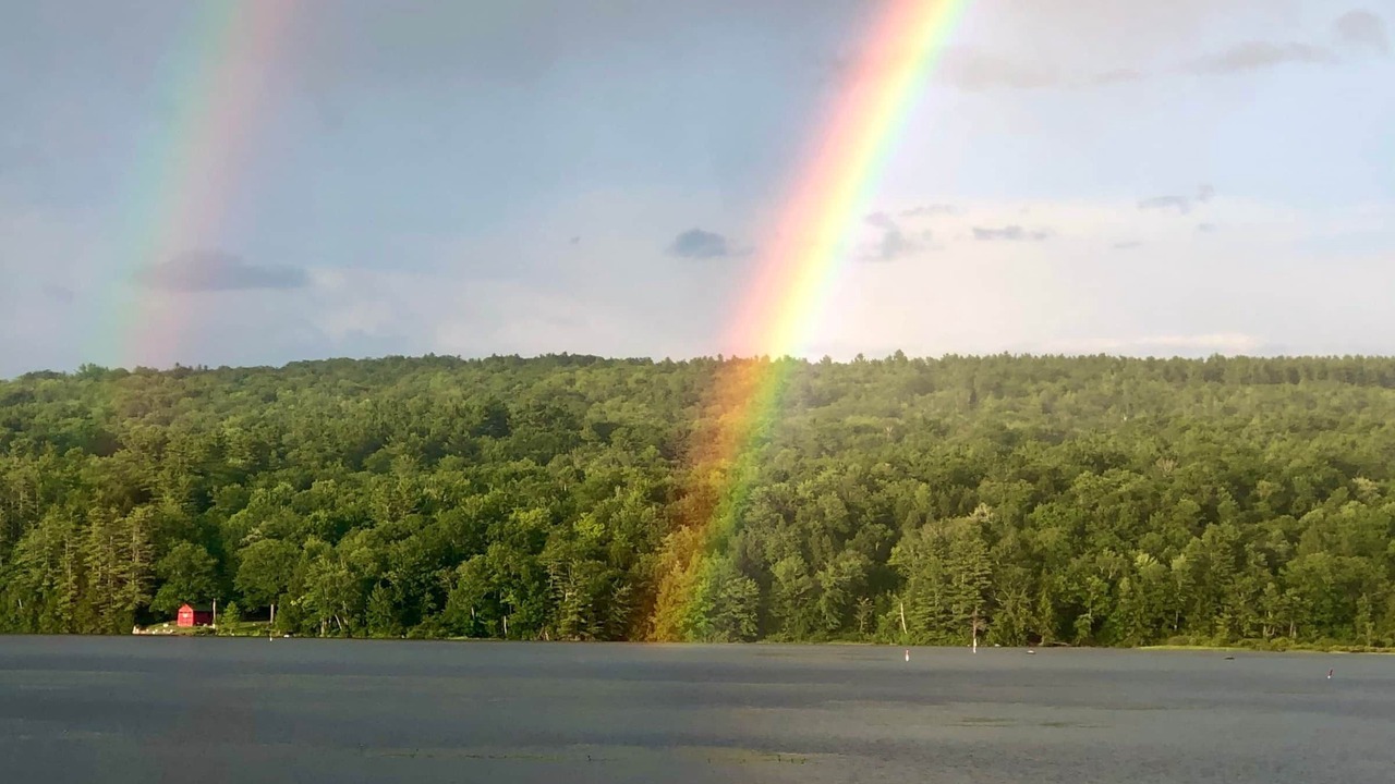 Photo of Others in Enfield