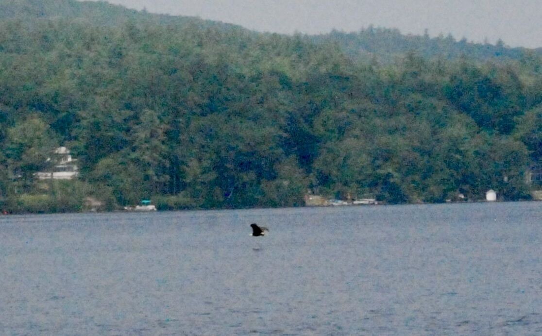 Photo of Others in Enfield