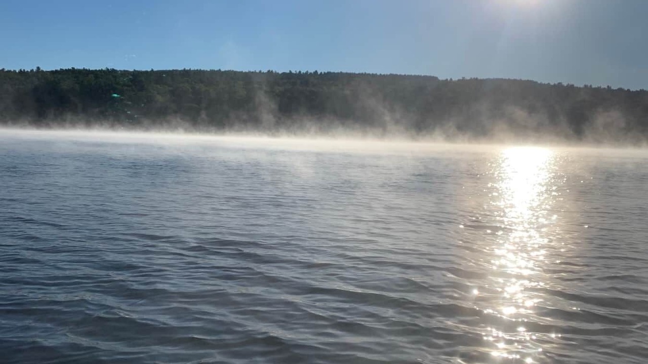 Photo of Others in Enfield