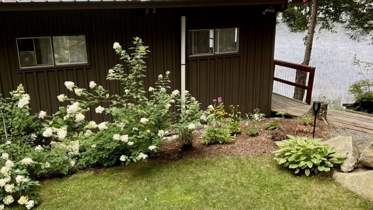 Photo of Others in Enfield