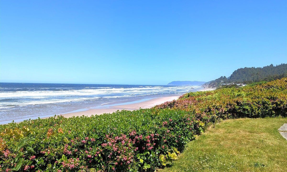 Photo of Others in Arch Cape