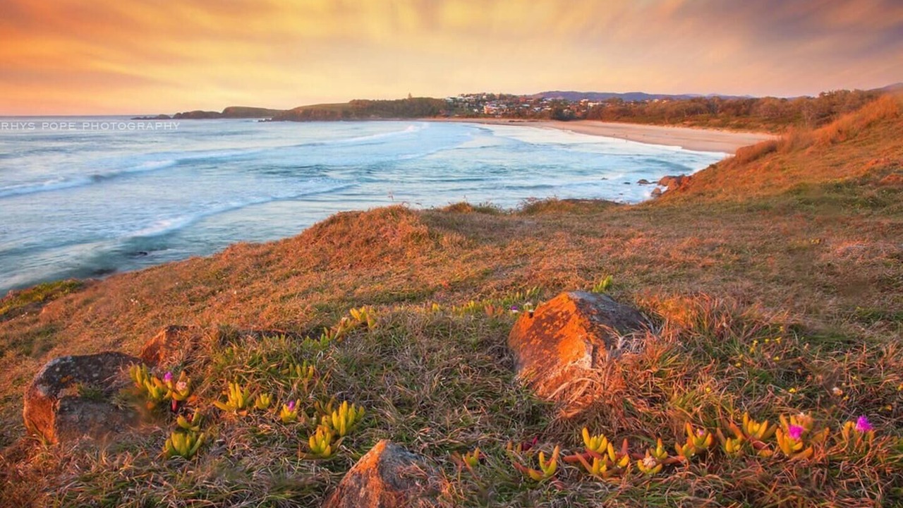 Photo of Others in Emerald Beach