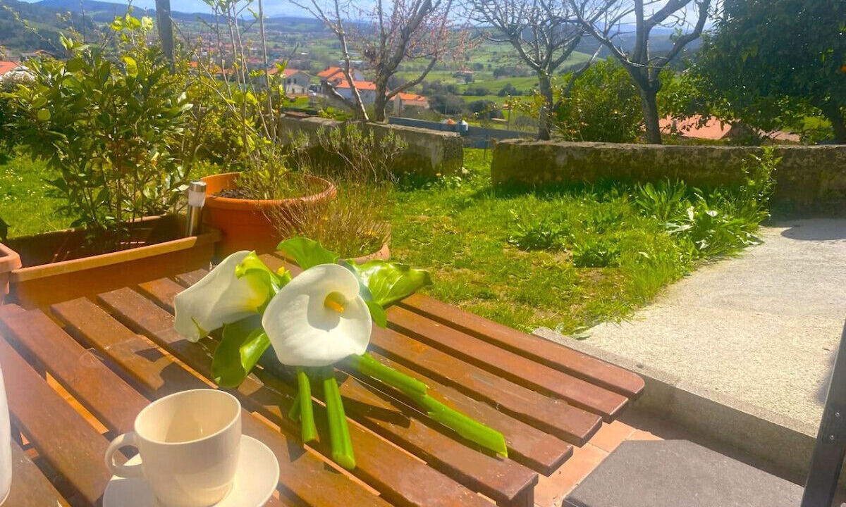 Photo of Patio Balcony in Bareyo