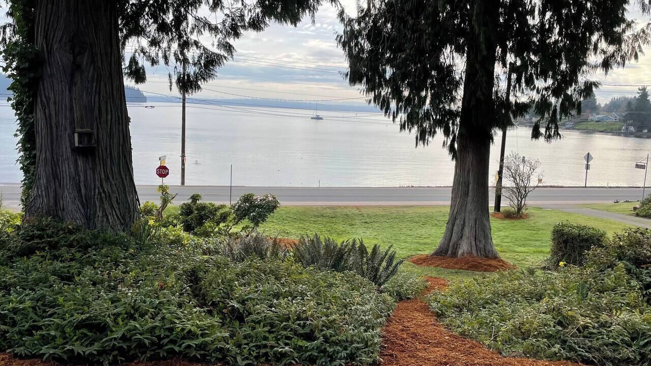 Photo of Outdoor in South Colby