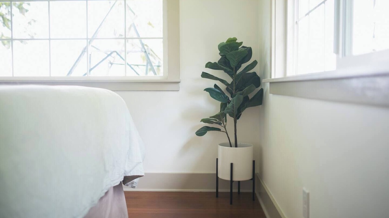 Photo of Others in South Colby