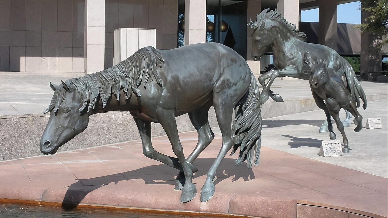 Photo of Others in Las Colinas