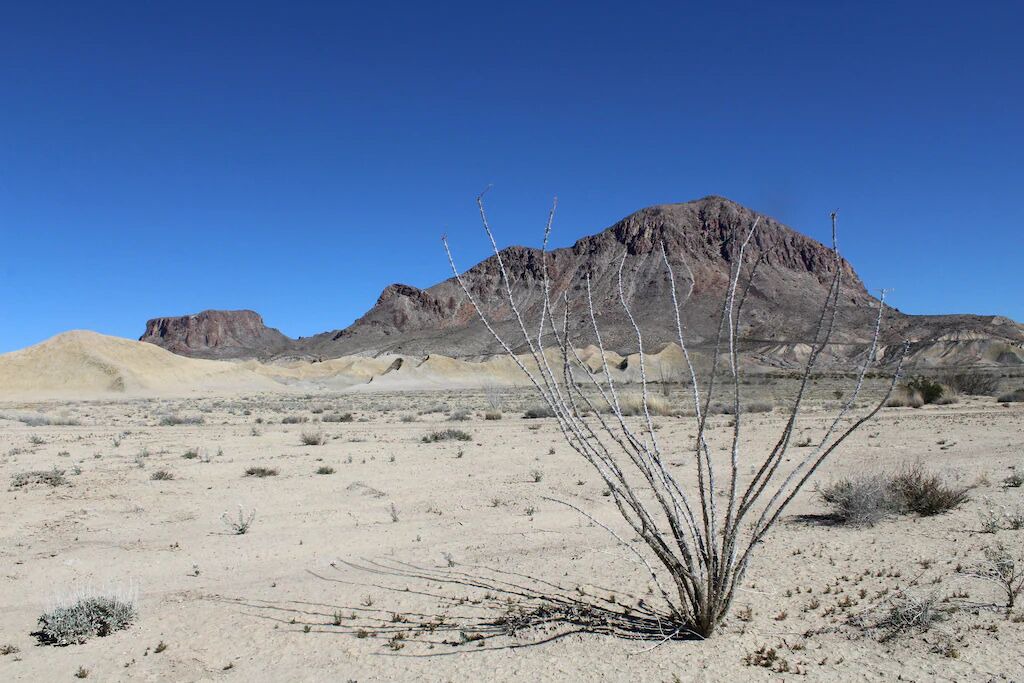 Photo of Others in Terlingua