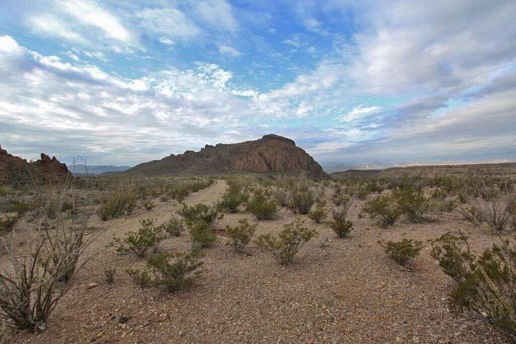 Photo of Others in Terlingua