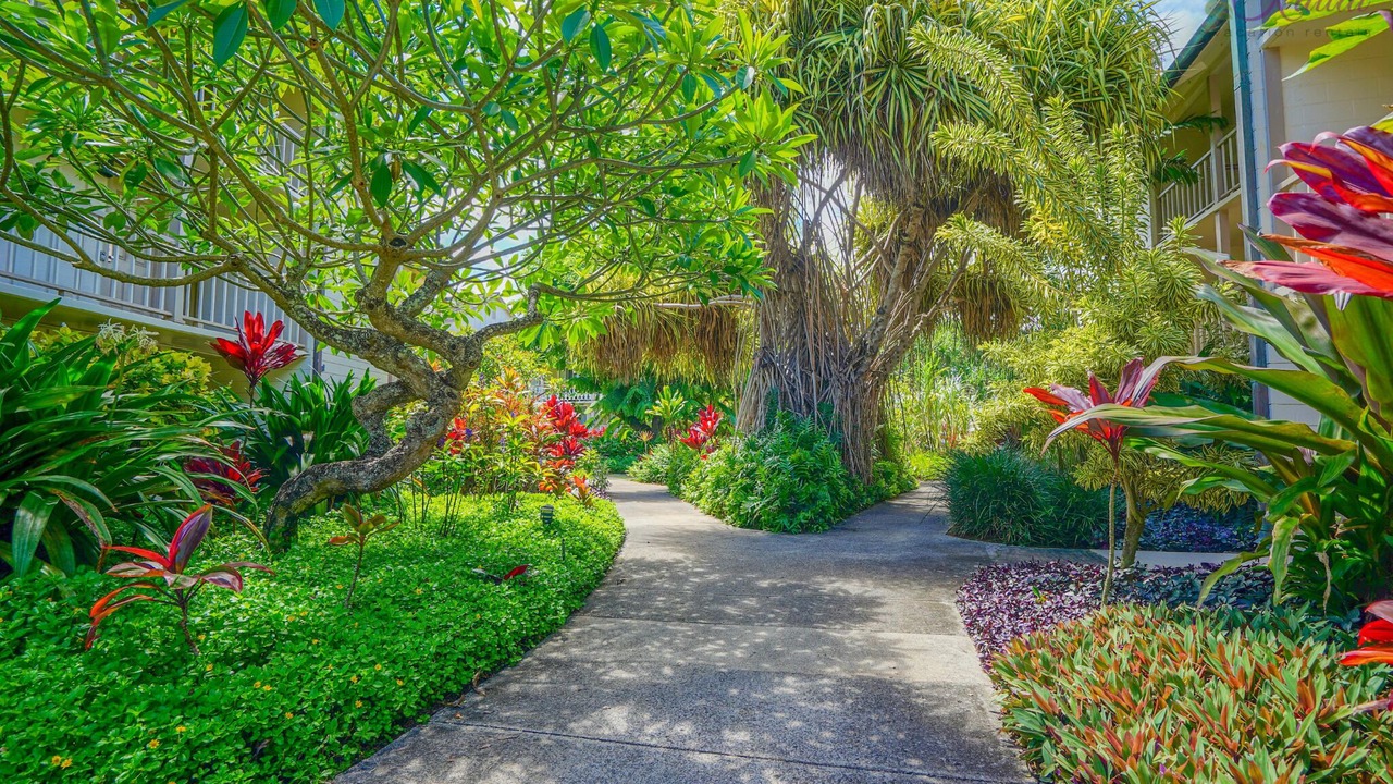 Photo of Outdoor in Wailua