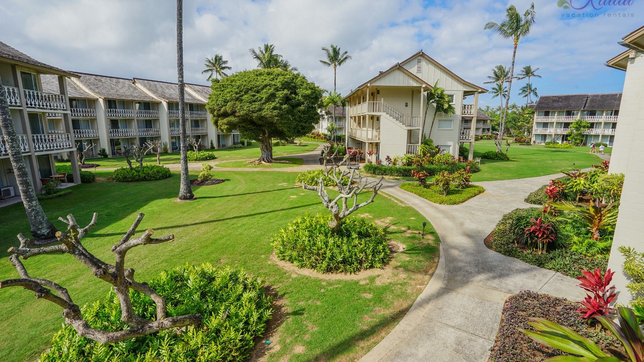 Photo of Outdoor in Wailua