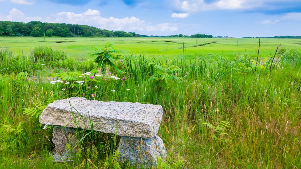 Photo of Others in East Sandwich