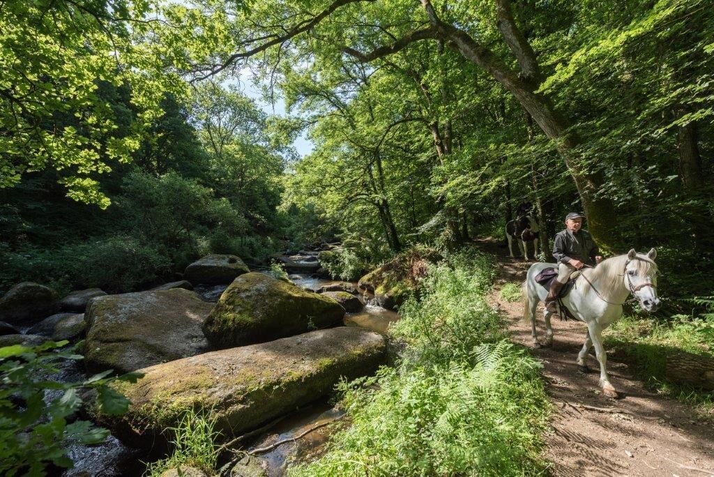 Photo of Outdoor in Saint-Julien