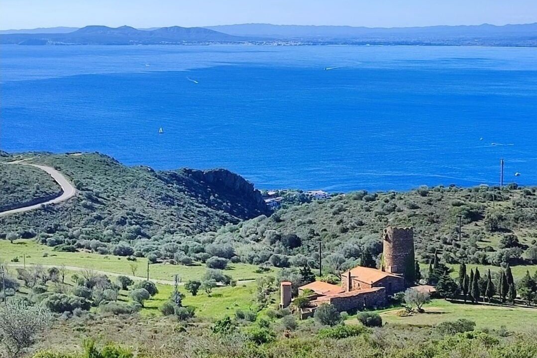 Photo of Others in El Mas Oliva