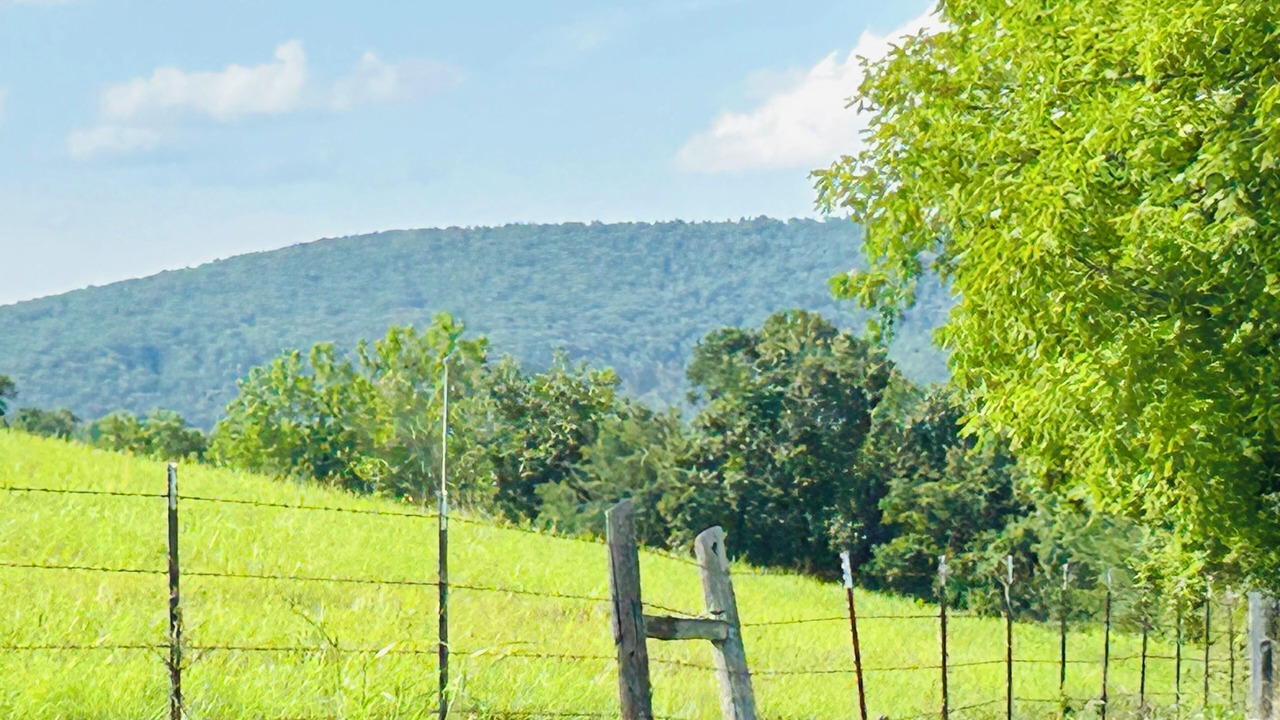 Photo of Outdoor in Jamestown