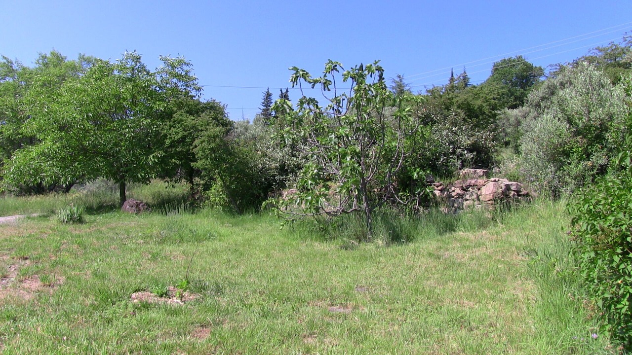 Photo of Outdoor in Les Vans