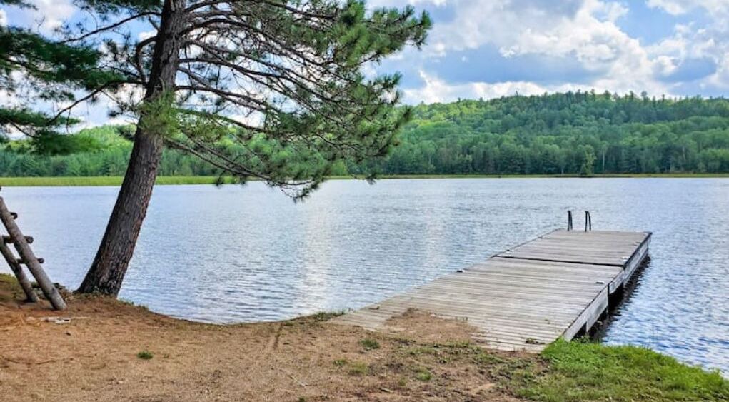 Photo of Others in South Algonquin