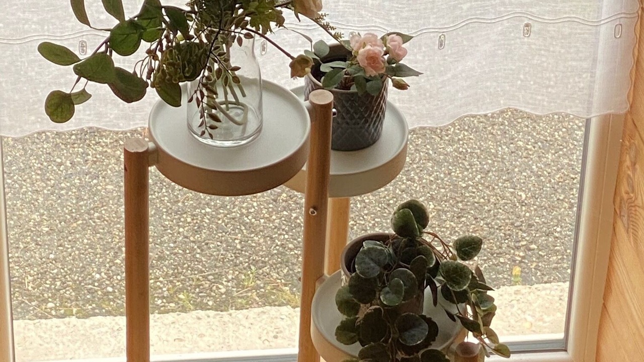 Photo of Others in Ceyzerieu