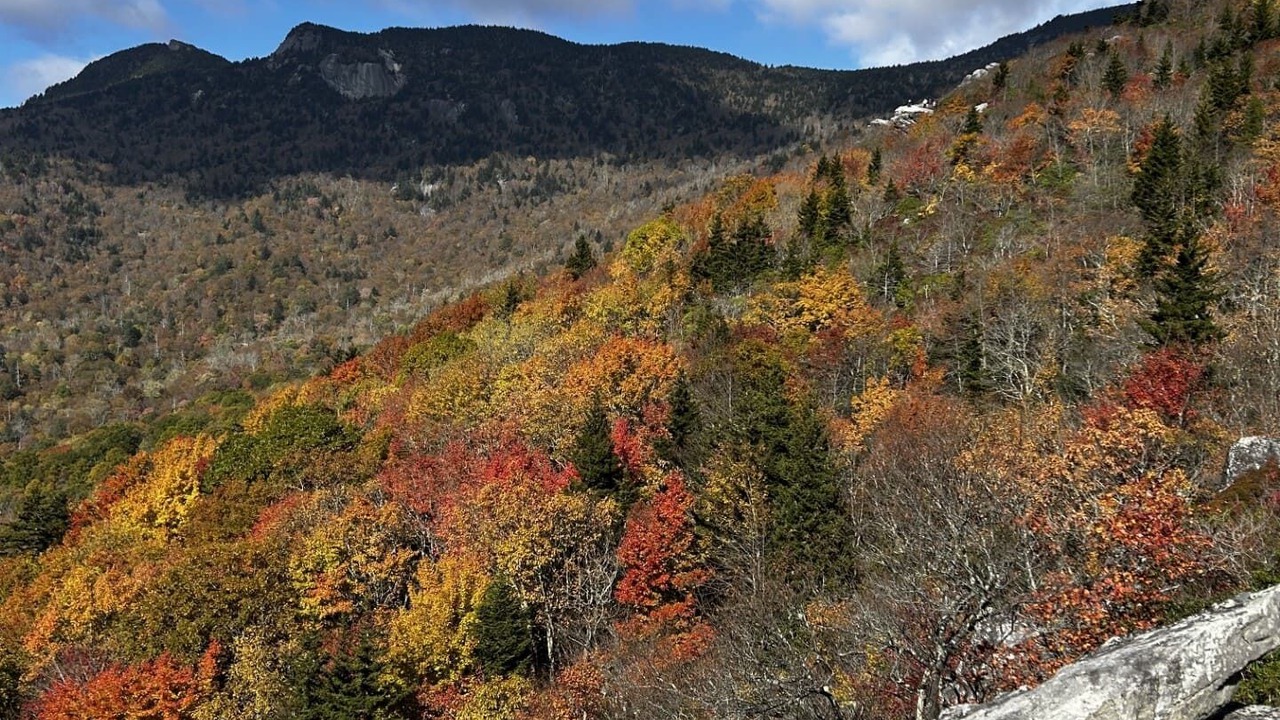 Photo of Others in Moravian Falls