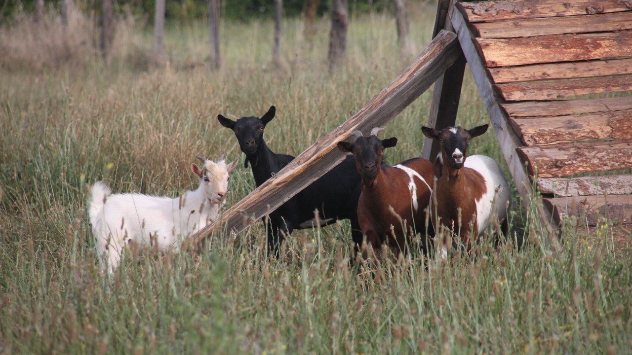 Photo of Outdoor in Frejairolles