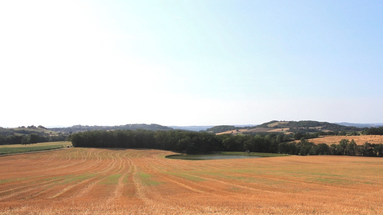 Photo of Others in Frejairolles