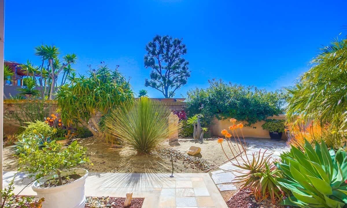 Photo of Outdoor in La Jolla Mesa