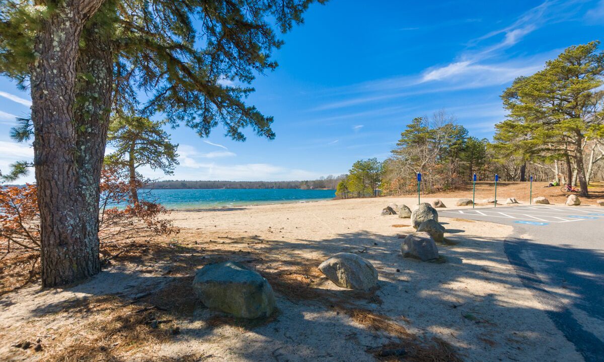 Photo of Others in Mashpee