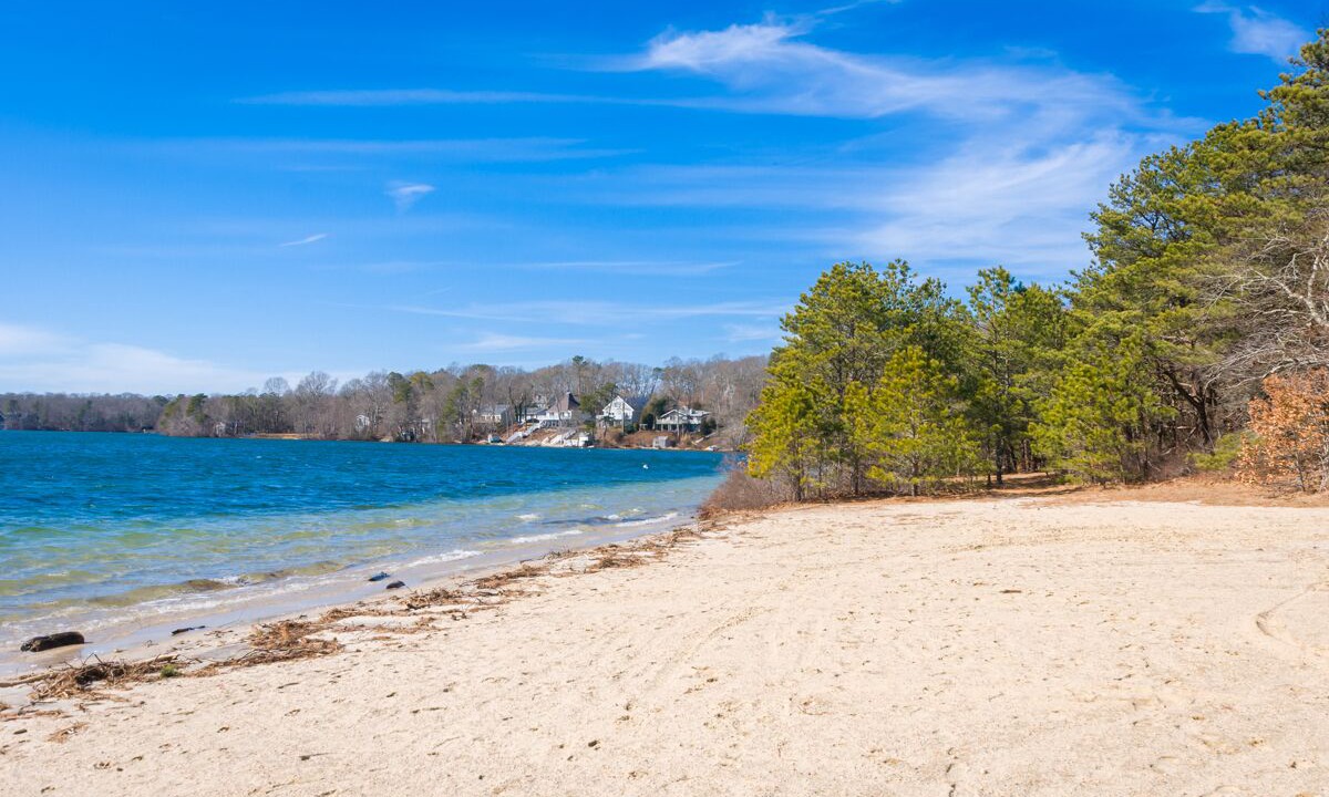 Photo of Others in Mashpee