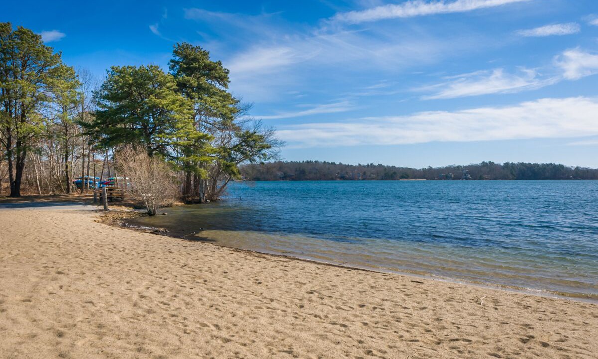 Photo of Others in Mashpee