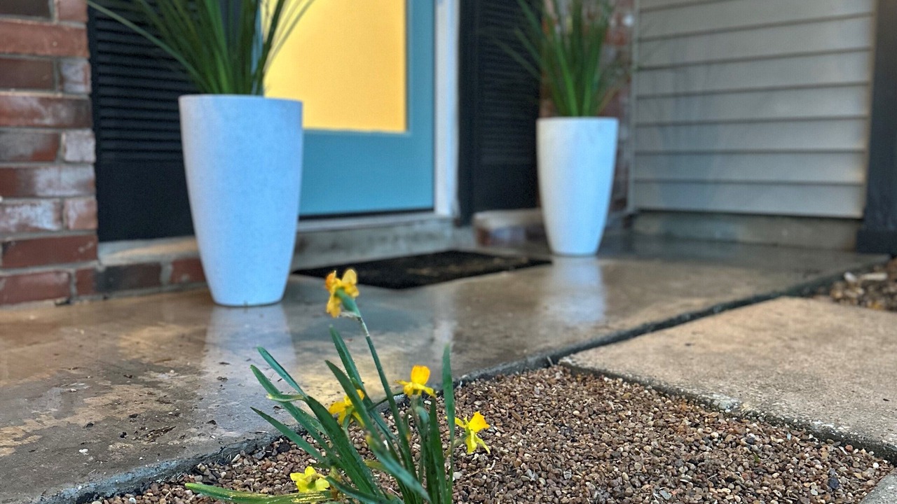 Photo of Outdoor in Round Rock West