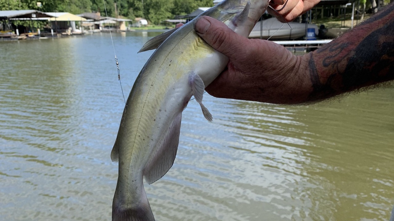 Photo of Others in Stover