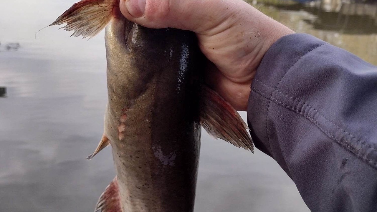 Photo of Outdoor in Stover