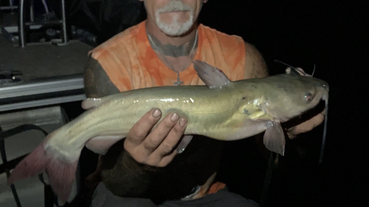 Photo of Others in Stover