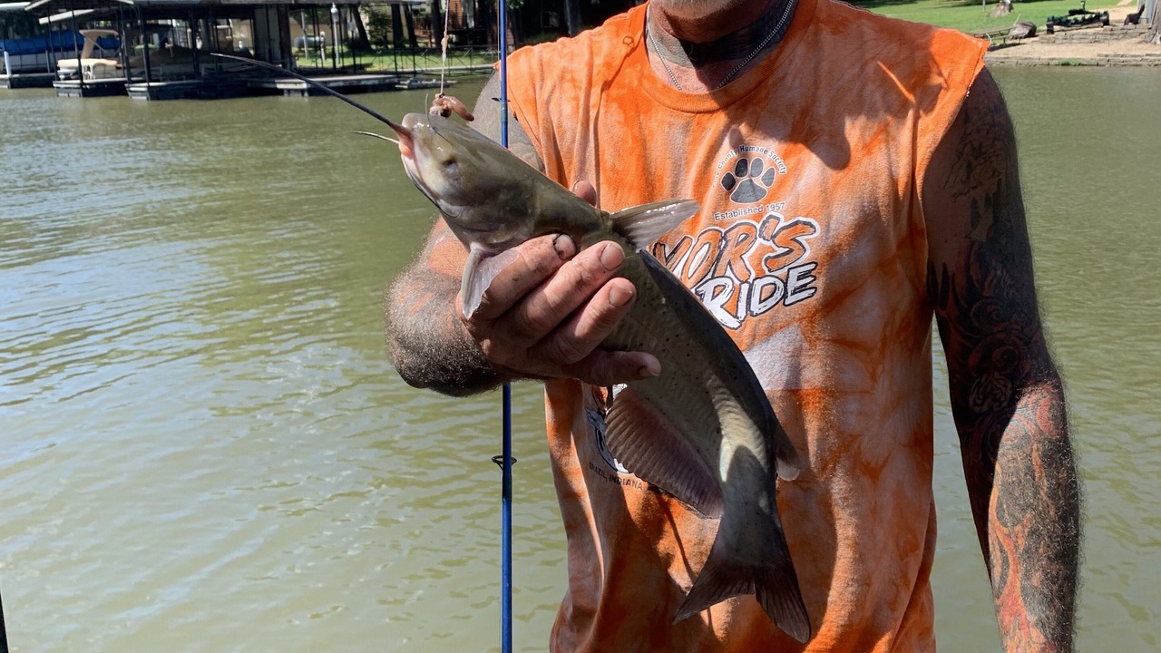 Photo of Others in Stover