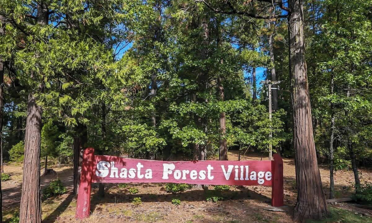 Photo of Others in Shingletown