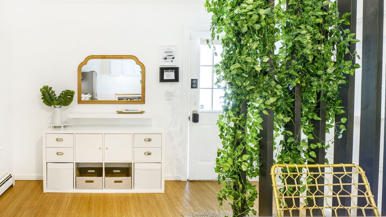 Photo of Others in East Shore