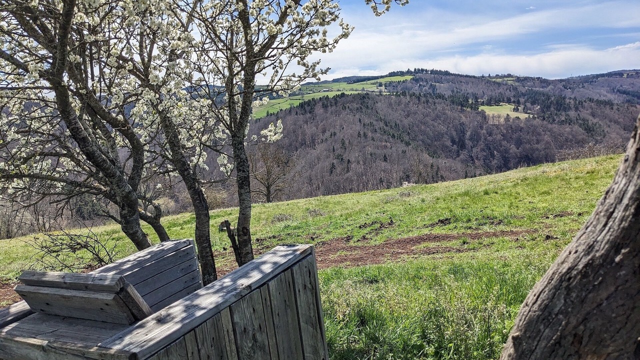 Photo of Outdoor in Saint-Just-pres-Brioude