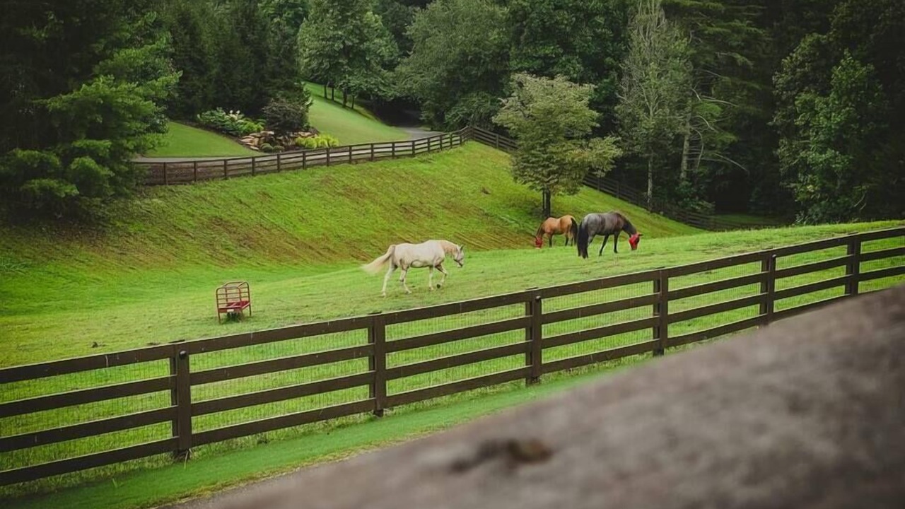 Photo of Outdoor in Ellijay