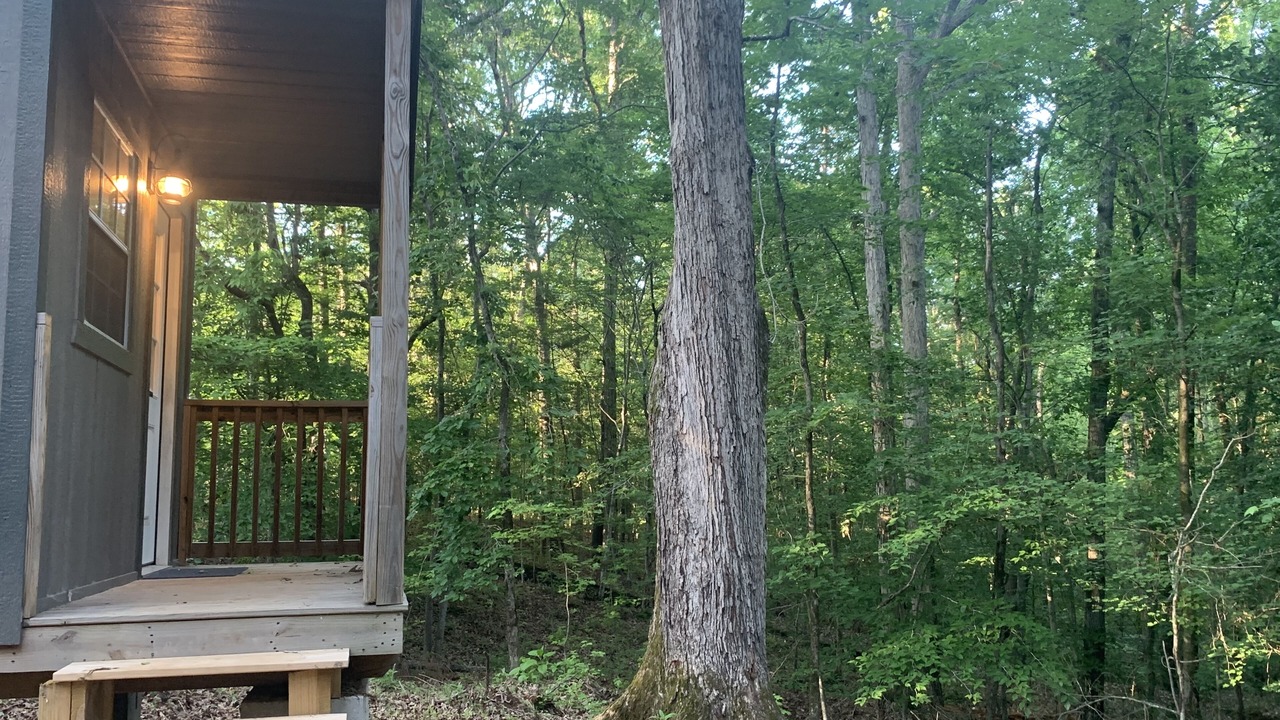 Photo of Outdoor in Lexington