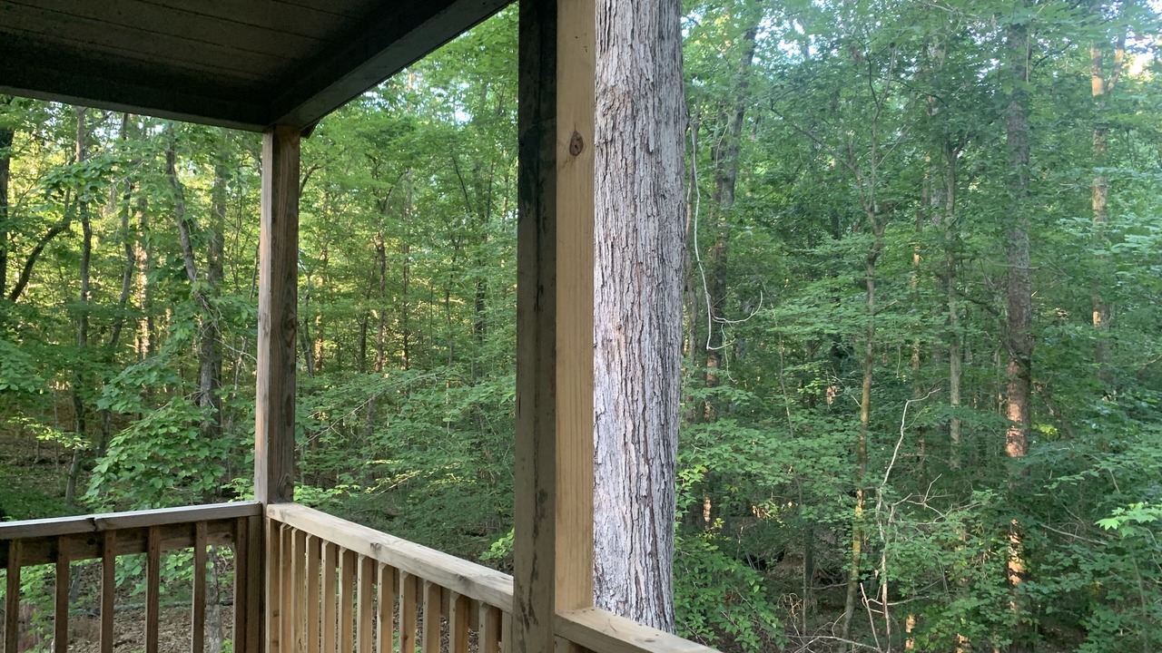 Photo of Outdoor in Lexington