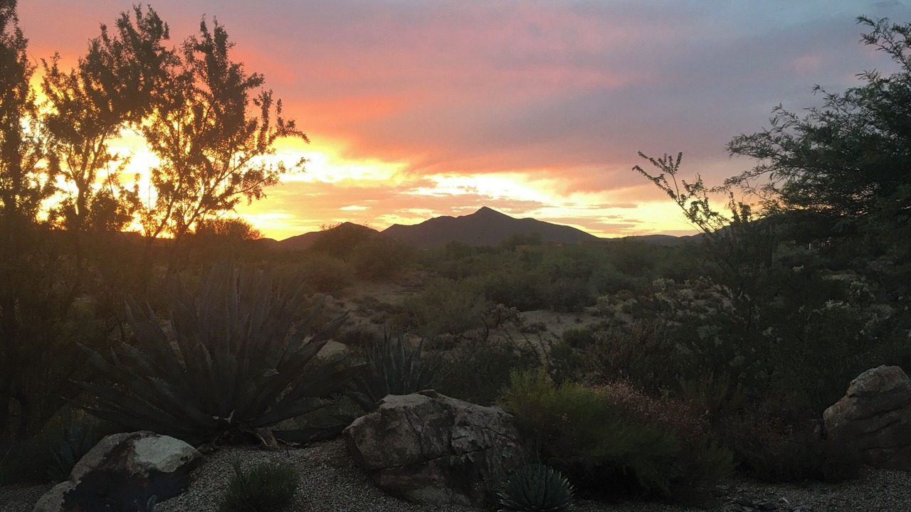 Photo of Outdoor in Pinnacle Peak