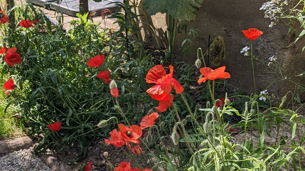 Photo of Outdoor in La Fleche