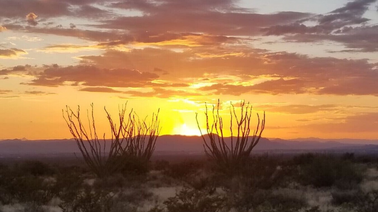 Photo of Others in Las Cruces