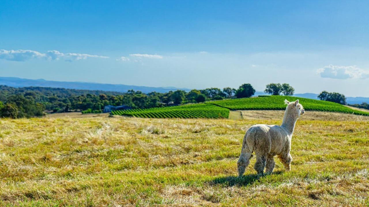 Photo of Outdoor in Everton Upper