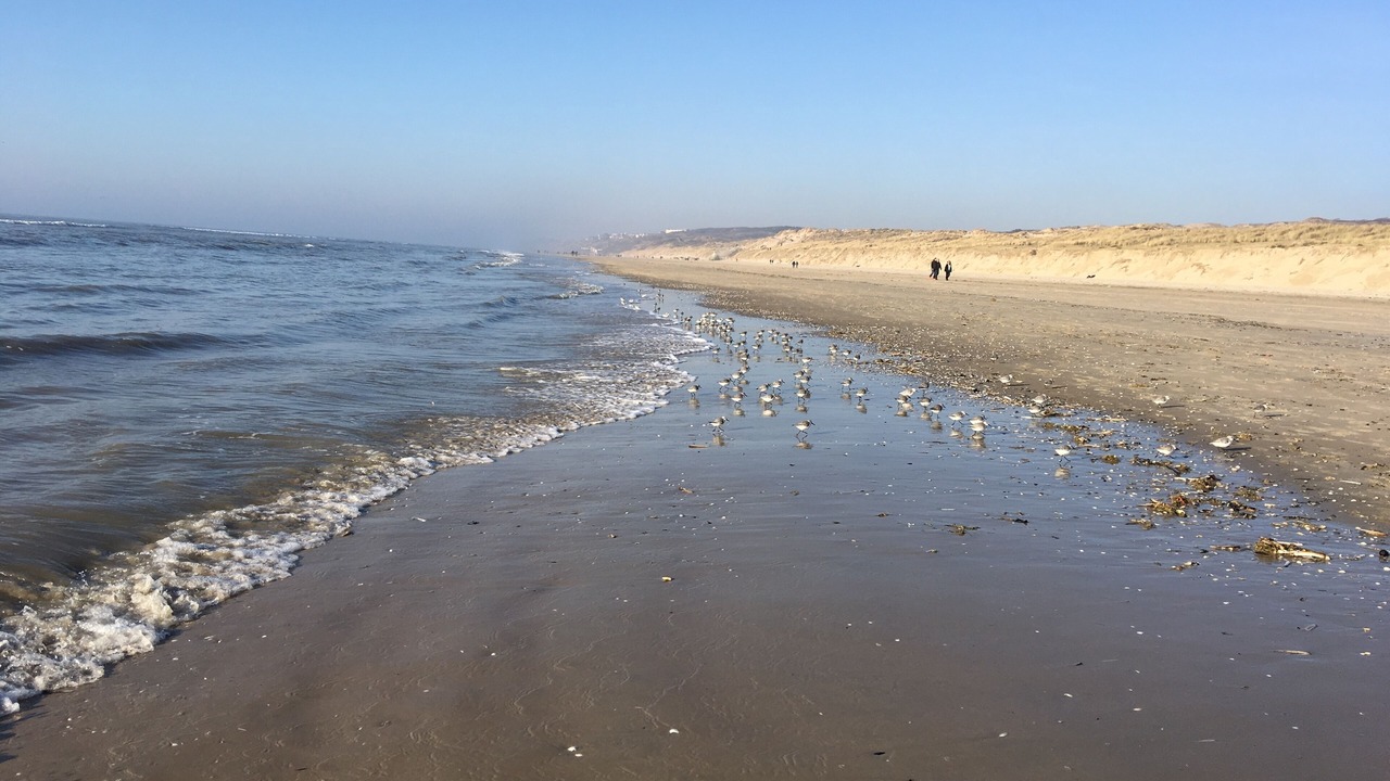Photo of Others in Hardelot-Plage