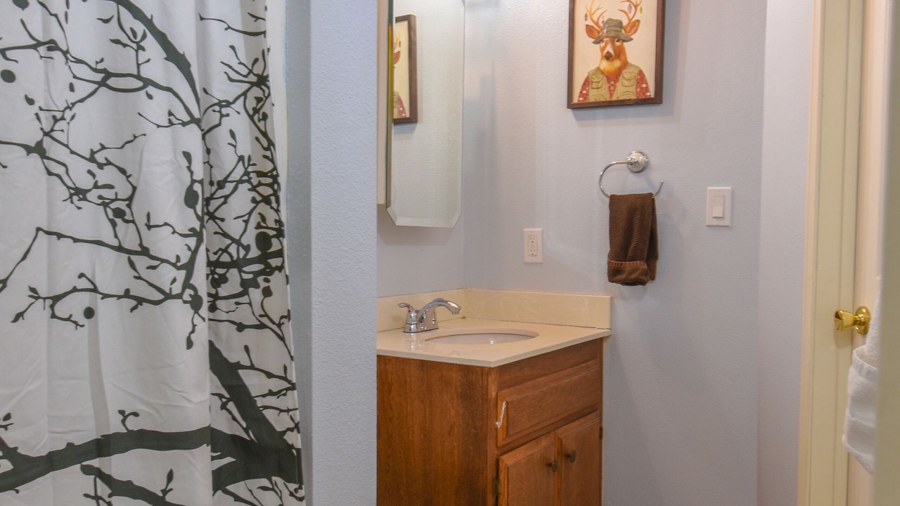 Photo of Bathroom in Green Valley Lake