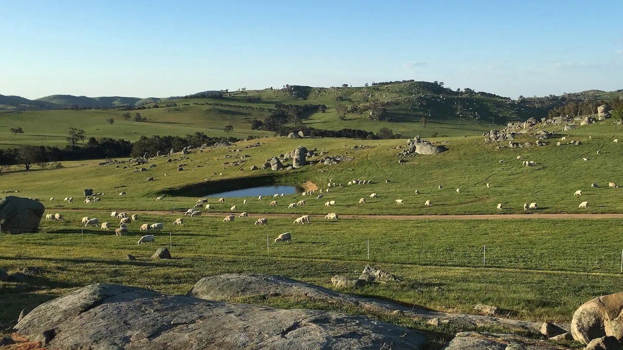 Photo of Others in Pyalong