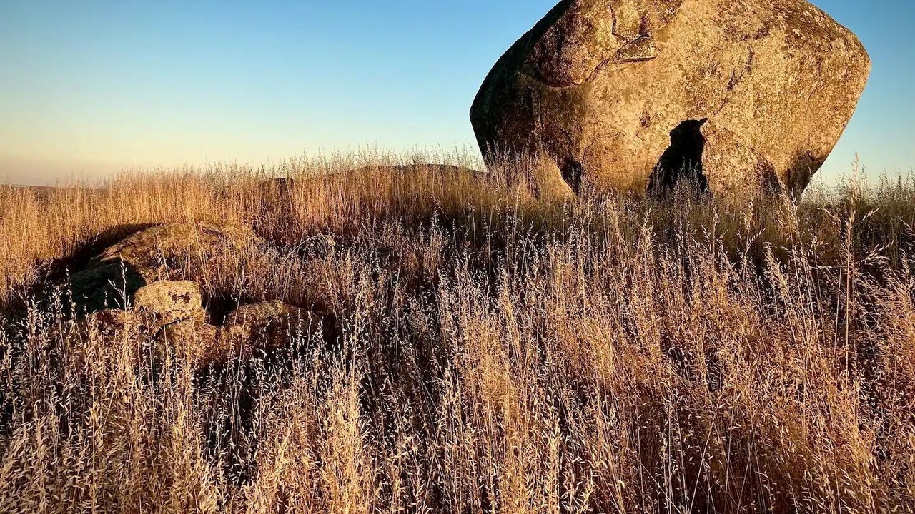 Photo of Outdoor in Pyalong