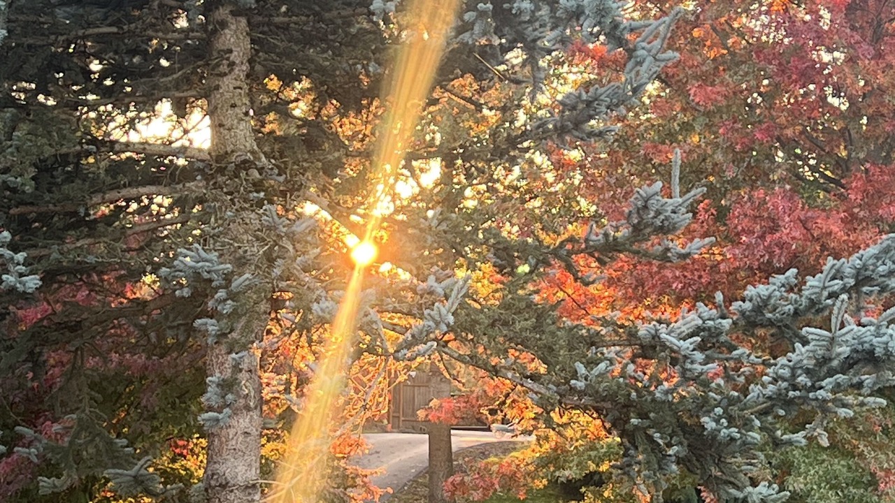 Photo of Outdoor in Hubbard