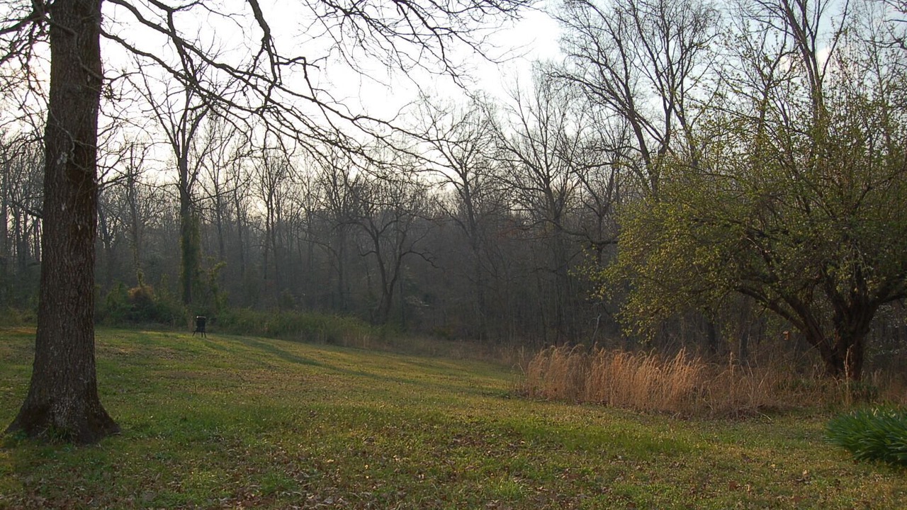 Photo of Outdoor in Saint Joe