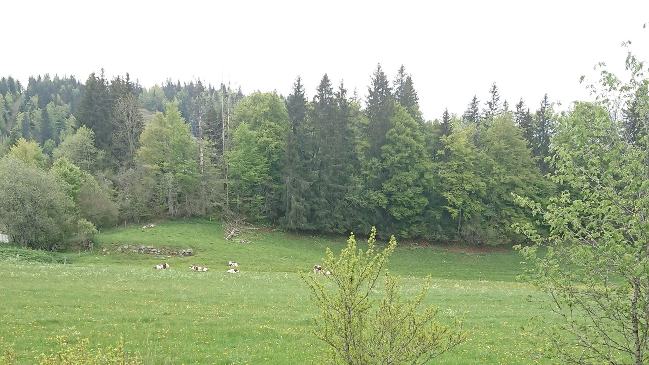 Photo of Outdoor in Chaux-Neuve